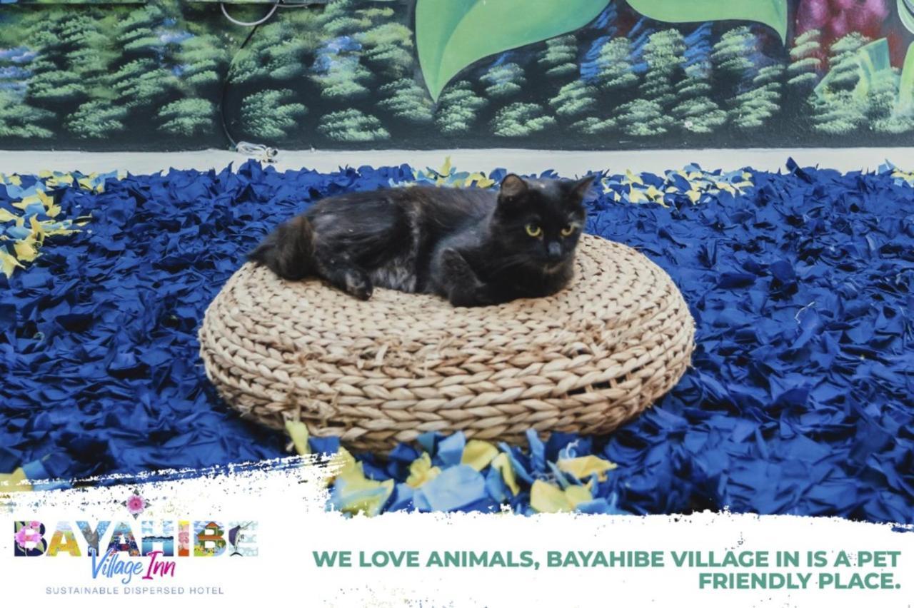 Bayahibe Village Inn Ngoại thất bức ảnh