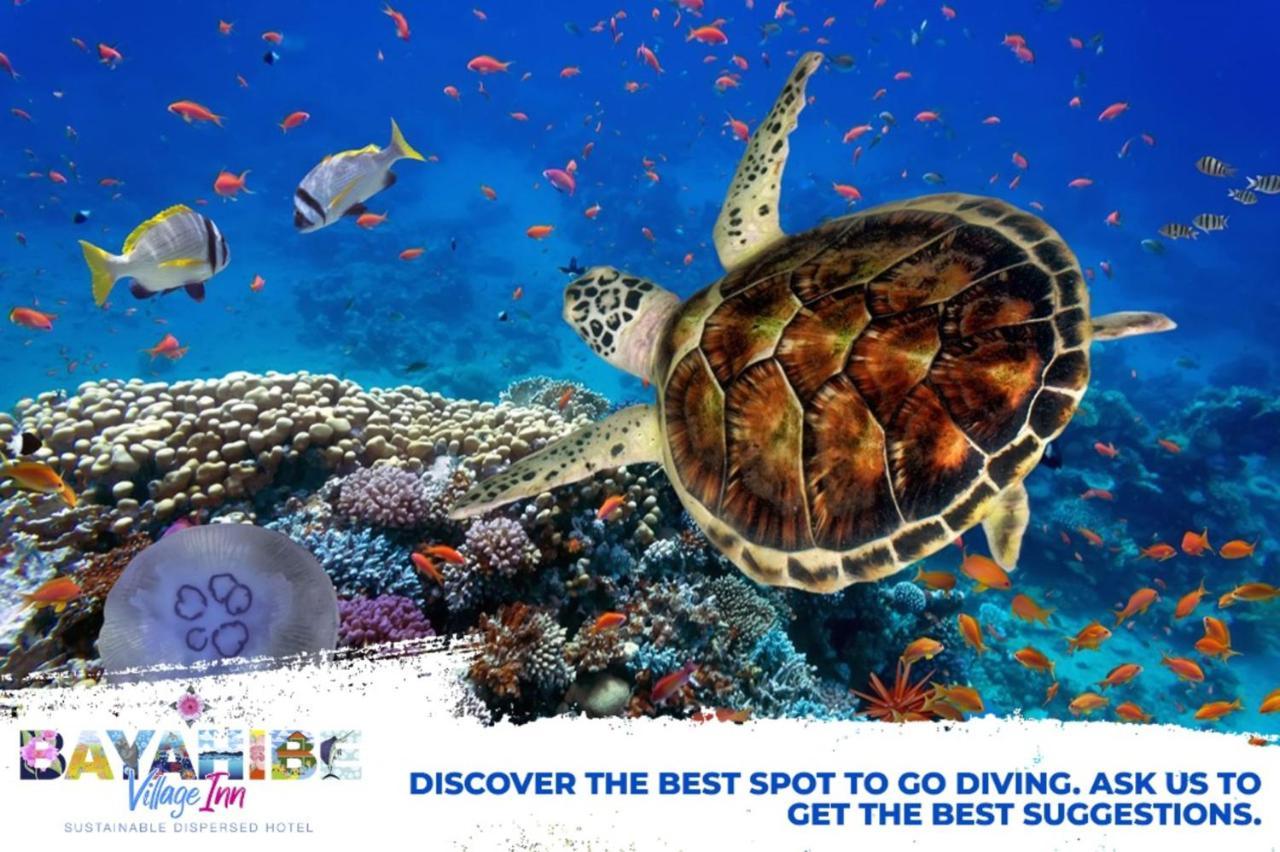 Bayahibe Village Inn Ngoại thất bức ảnh